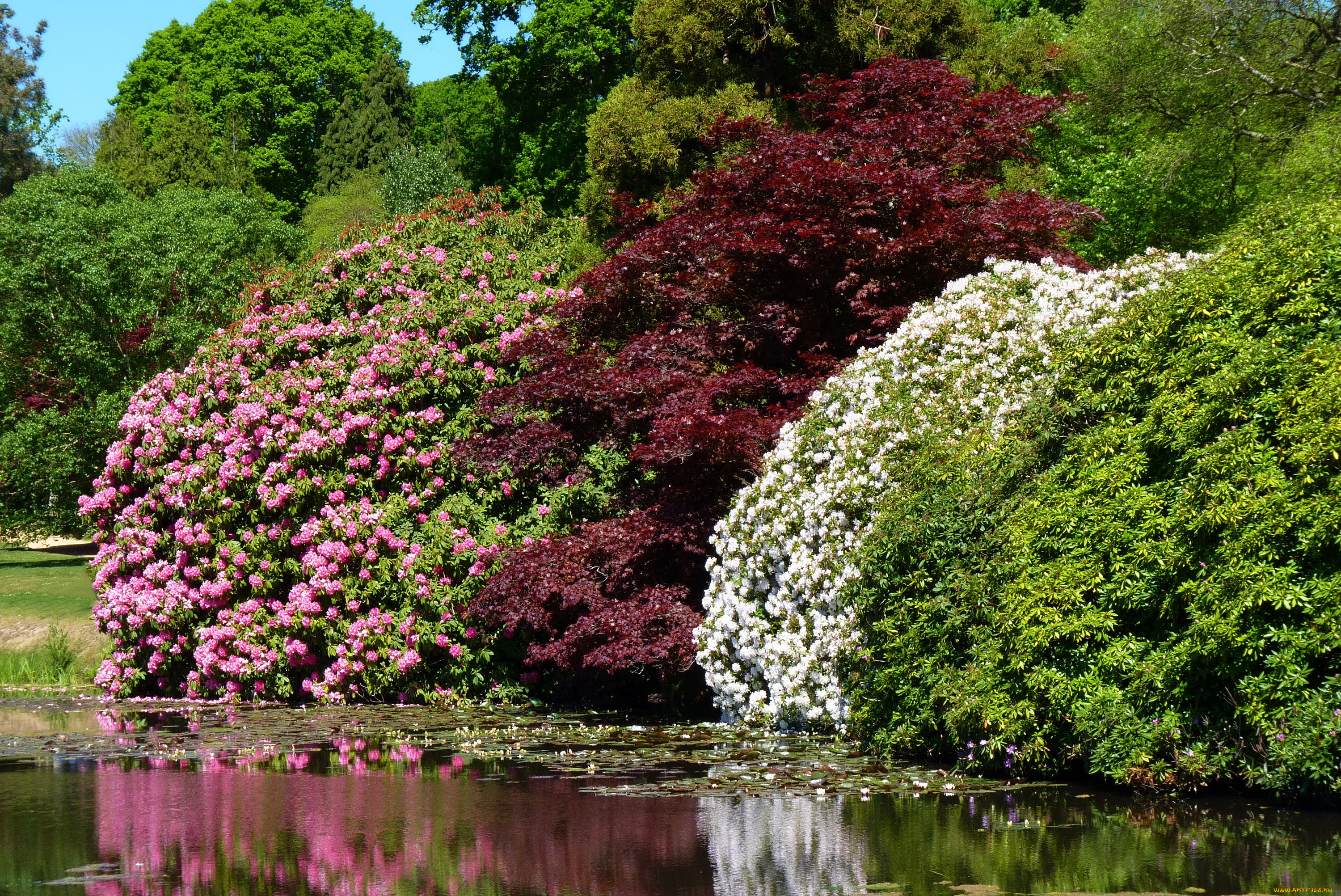 sheffield park- garden , , , , 